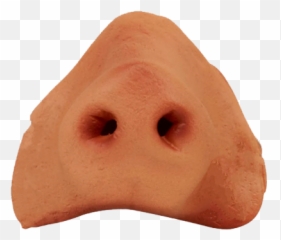 Nose Pig Psd Psd Free Download - Nariz De Porco Png Emoji,B3c Emoticon