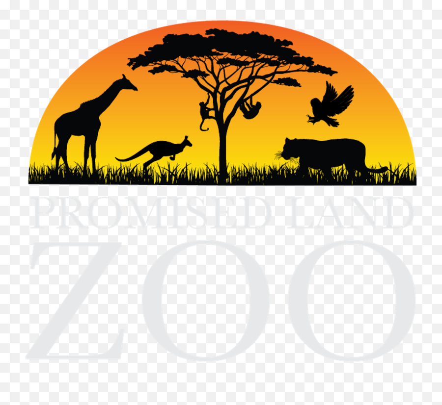 Missouris Top Animal Attractions Zoo - Animal Emoji,Levels Of Emotion In Zoo Animals