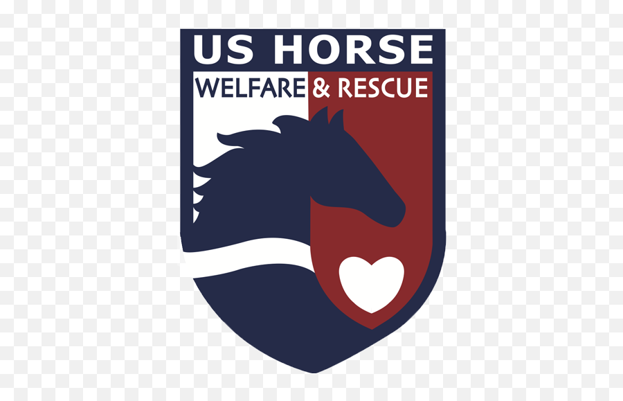 Us Horse Welfare U0026 Rescue Where Horses Rescue The Human - Us Horse Welfare And Rescue Emoji,Emotion Horse Rider Metaphor