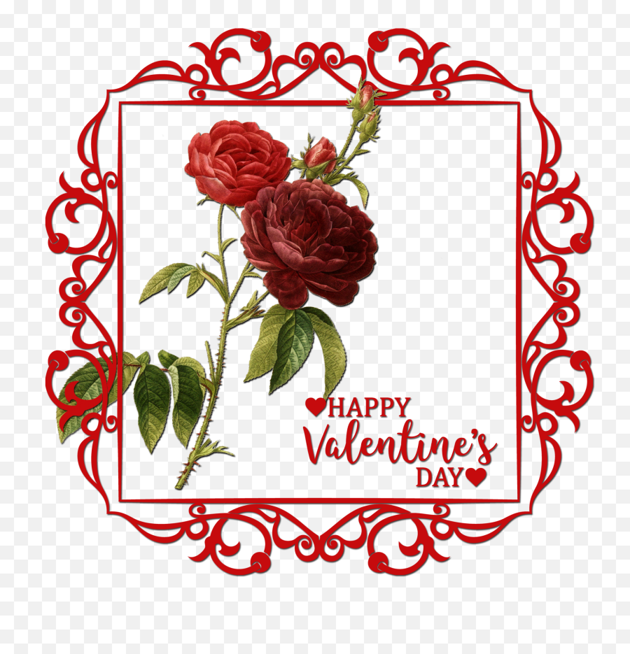 Roses Valentines Background Free Stock Photo - Public Domain Emoji,Emojis Valentines Cards
