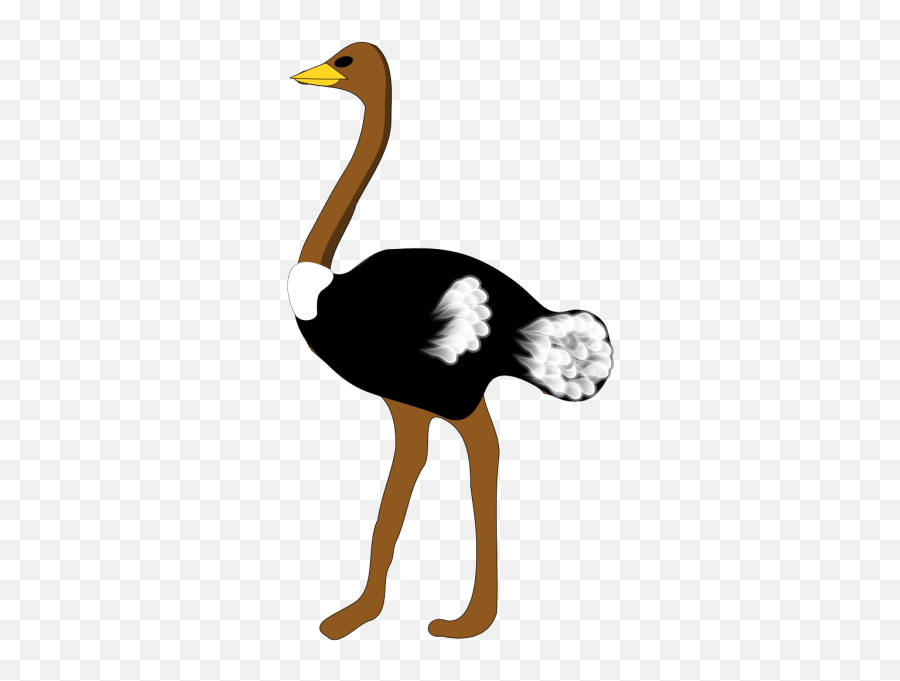 Digital Ostrich Art Png Svg Clip Art For Web - Download Ostrich Clipart Emoji,Ostrich Emoji