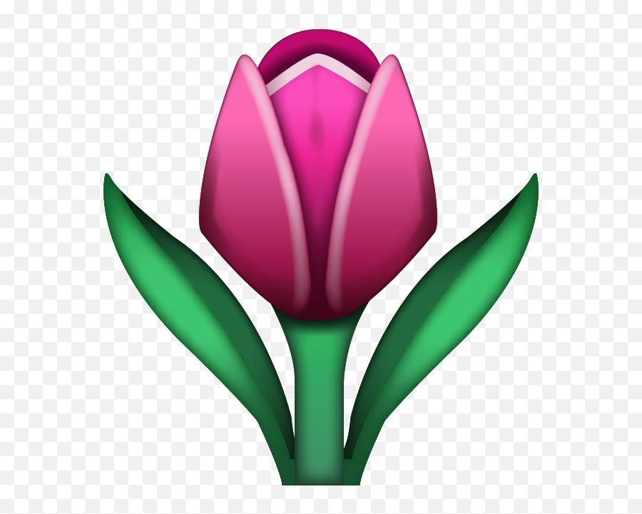 Download Tulip Emoji Icon Image In Png Emoji Island - Tulip Emoji Png,Flower Emoji Png