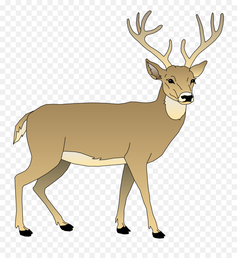 White Tailed Deer Clipart - White Tailed Deer Clipart Emoji,Whitetail Deer Emoji