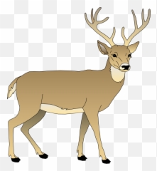 White Tailed Deer Clipart - White Tailed Deer Clipart Emoji,Whitetail Deer Emoji