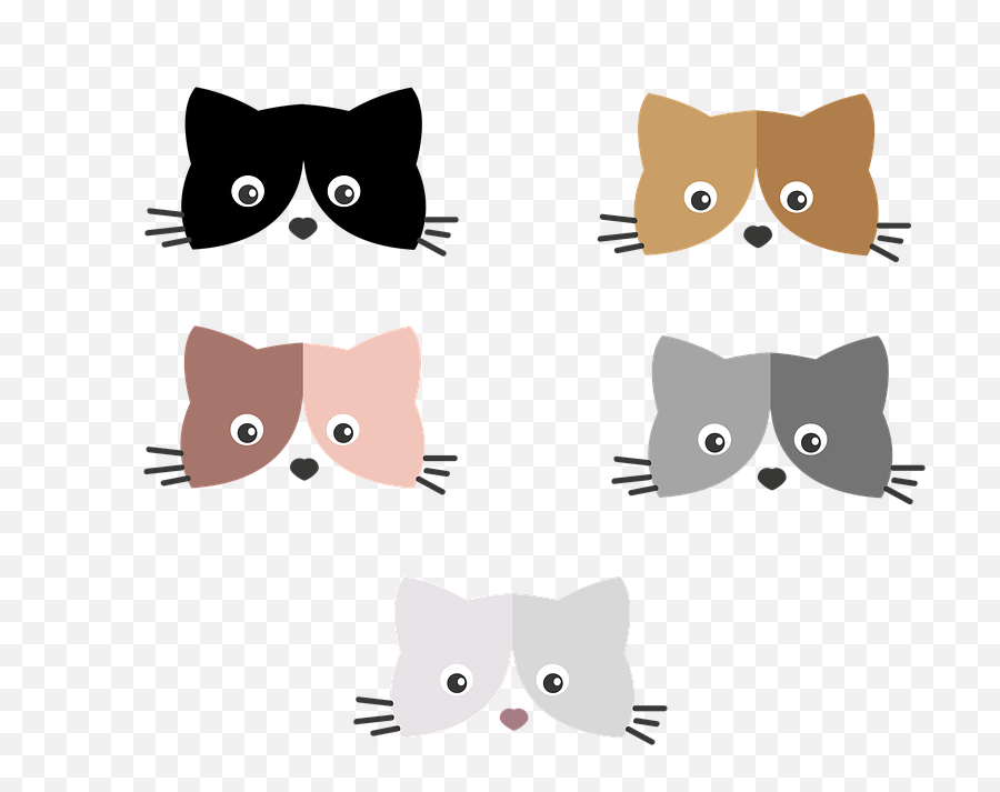 Free Photo Cute Animal Cat Domestic Cat - Cute Kitten Face Cartoon Emoji,Cat Eye Emotions