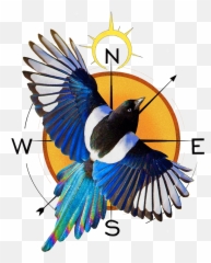 The Total Truth Letter - Magpie Emoji,Gottman Seol Korea Emotion Coaching