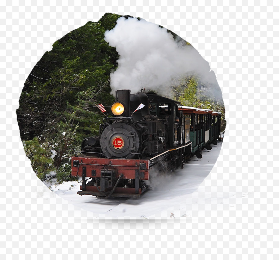 Yosemite Mountain Sugar Pine Railroad Scenic Train Rides Emoji,Raccooon Steam Emoticons