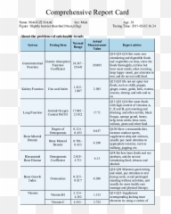 Doc Comprehensive Report Card About The Problems Of Sub Emoji,Onion Lotus Emotion