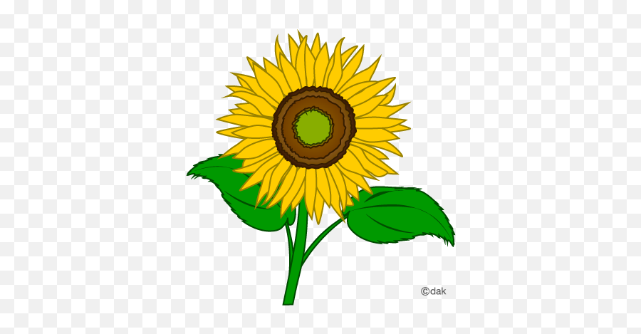 Sunflower Clip Art Clipart Free Clipart Microsoft Clipart - Sunflower Clip Art Emoji,Sun Flower Emoji