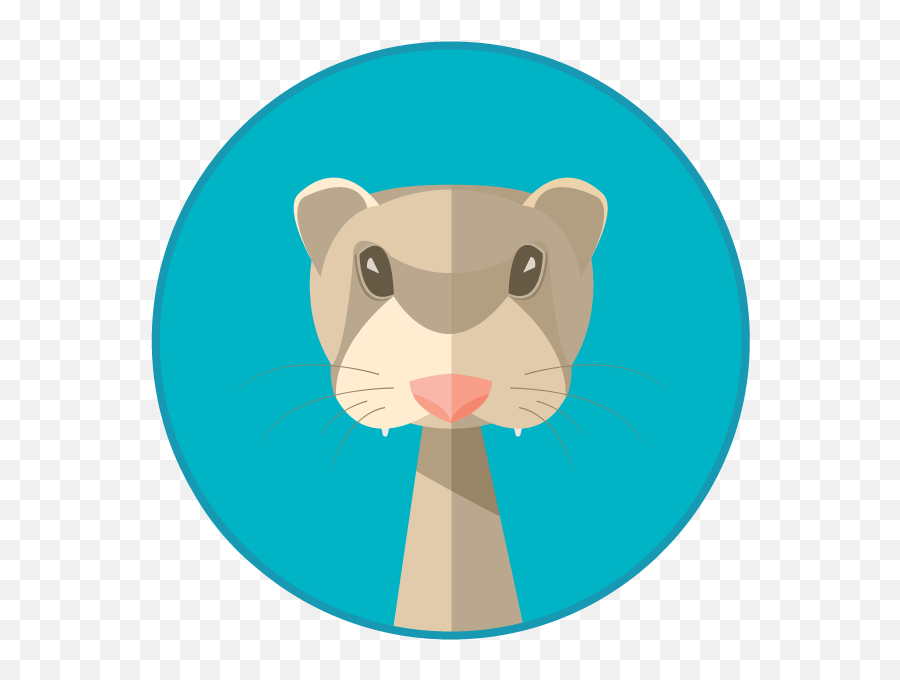 Ferret Designs Themes Templates And Downloadable Graphic Emoji,Ferret Emoji