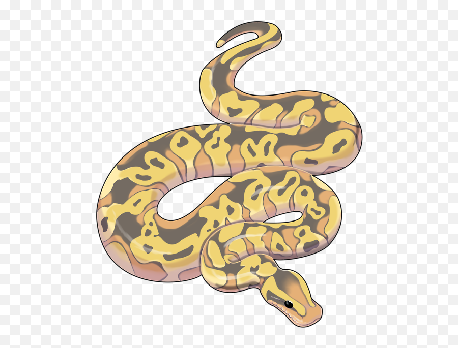 Snake Clipart Serpent Snake Serpent - Ball Python Clipart Transparent Emoji,Emoji Ball Python