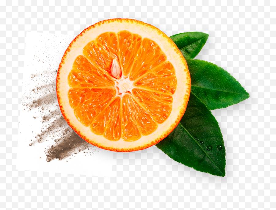 Serenzo - Nexira Fruta Naranja Con Sombra Emoji,Ingredients Of Emotion