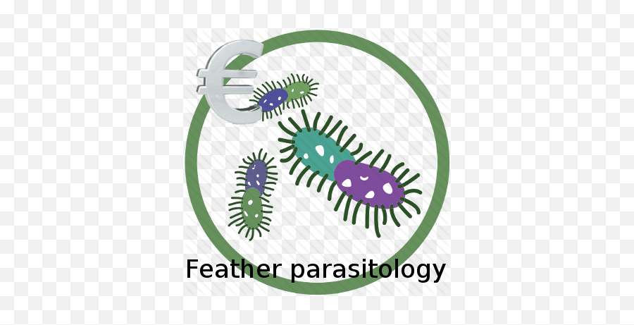 Low Cost Feather Parasitology 3 - 6 Days Emoji,Emojis Of Diseases