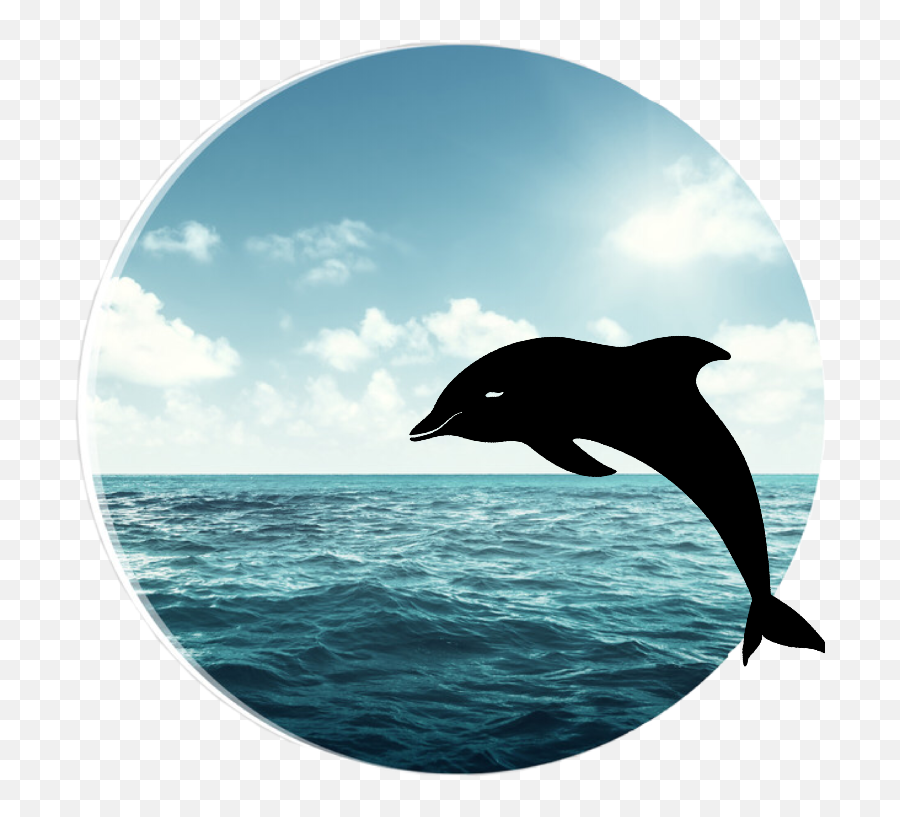 Dolphin Sticker - Common Bottlenose Dolphin Emoji,3 Dolphin Emoji