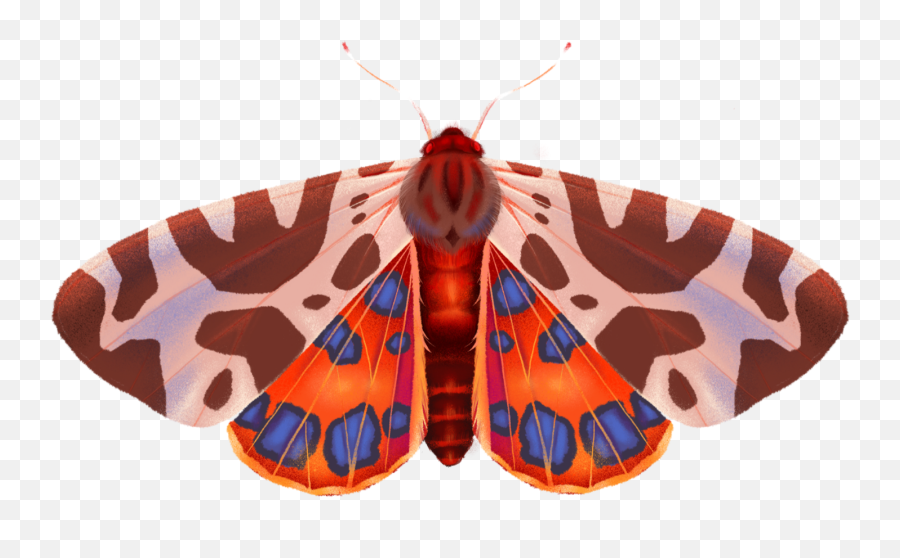 Moth Butterfly Bug Sticker - Hawk Moths Emoji,Moth Emoji