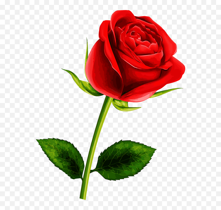 Rosa Vermelha Bela E A Fera Png Clipart - Single Rose Flower Png Emoji,Red Rose Emoji