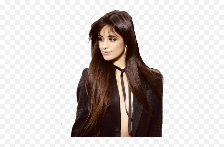 Camila Cabello Sticker För Whatsapp - Suspect That Broke In Shawn Mendes And Camila Cabello House Emoji,Camila Cabello Emojis