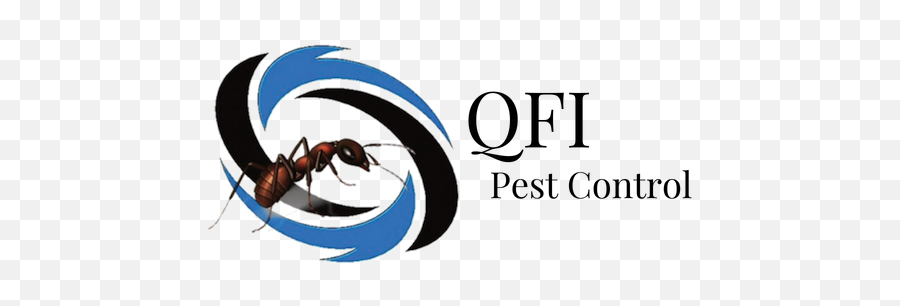 Lady Bugs Kelowna Qfi Pest Control - Language Emoji,What Is The Termite, Ladybug Emoticon