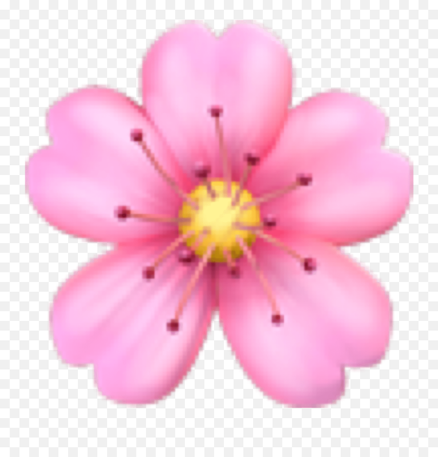 Pink Flower Emoji Background - Emoji Png Flower,Pink Rose Emoticon