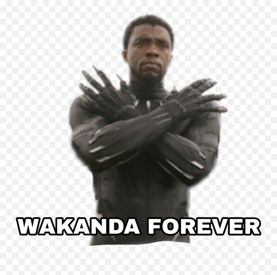 Discover Trending - Replacement For Chadwick Boseman As Black Panther Emoji,Wakanda Forever Emoji