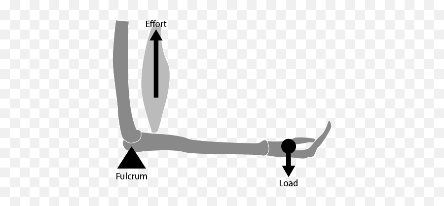 Movement Analysis - Language Emoji,Gym Emotion Lever