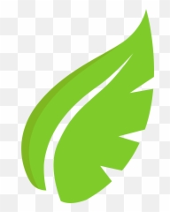 All Photo Png Clipart - Hoja De Arbol Verde Transparent Png Emoji,Hoja Marihuana Emoticon Facebook