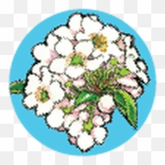 Cherry Republic Emoji,Cupcake Utf8 Emoji