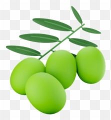Premium Olives 3d Illustration Download In Png Obj Or Blend Emoji,Olive Oil Emoji