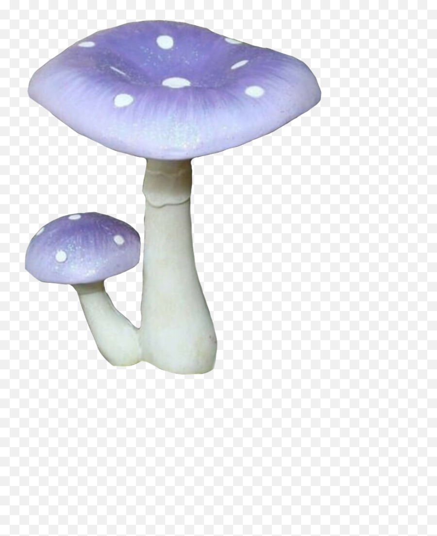 Discover Trending Mushroom Stickers Picsart - Wild Mushroom Emoji,Mushroom Emoji