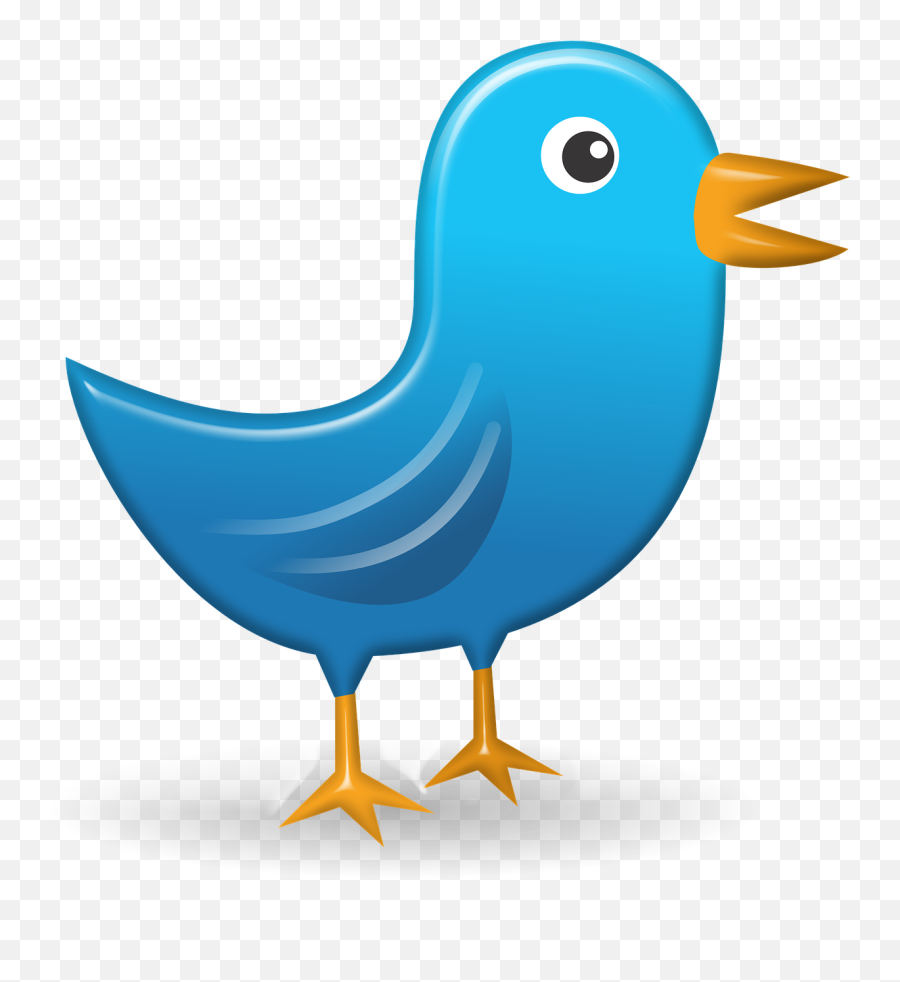 Online Knowhow Guard Your Privacy - Cartoon Bird Looking To The Right Emoji,Twitter Bird Emoji Copy And Paste