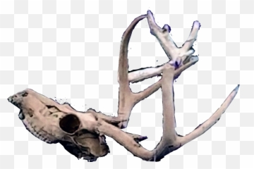 Picsart Sticker Skull Deerhead Sticker - Skull Emoji,Dead Deer Emoji