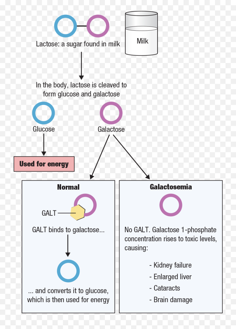 The Metabolic And Endocrine System Springer Publishing - Dot Emoji,Inside Out X Emotion Reader