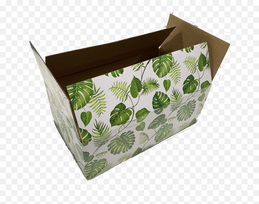 Gift Boxes 25 Pack 10x6x4 Banana Leaf Palm Tree Shipping - Leaves Box Emoji,Tree Boy Girl Notes Emoji,