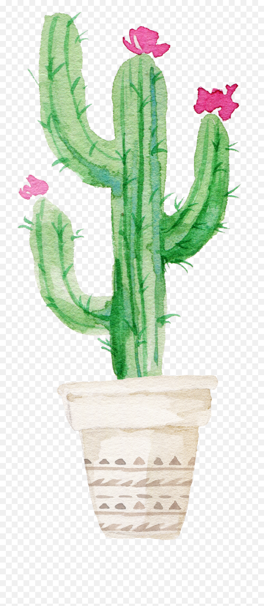 Aesthetic Plant Clip Art - Shefalitayal Watercolor Cactus Png Emoji,Plant Emoji No Background