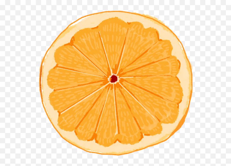 Free Online Orange Friut Round Health Vector For - Juice Vesicles Emoji,Orange Fruit Emoji
