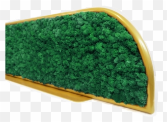 Moss Desk Dividers Emoji,Oiling A Stanging Emotion E1000