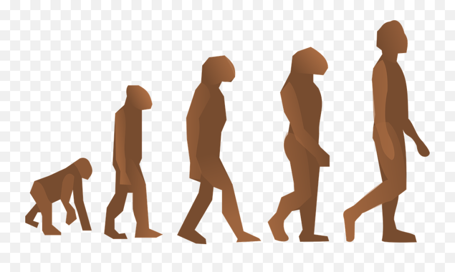 Human Evolution - Human Evolution Emoji,Darwin's Theory Of Emotion