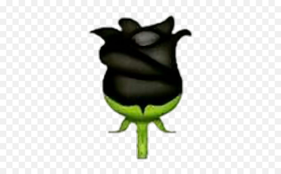 Rose Blackrose Emoji Emojisticker Overlay Overlays - Black Emojis That Don T Exist,Black Emoji