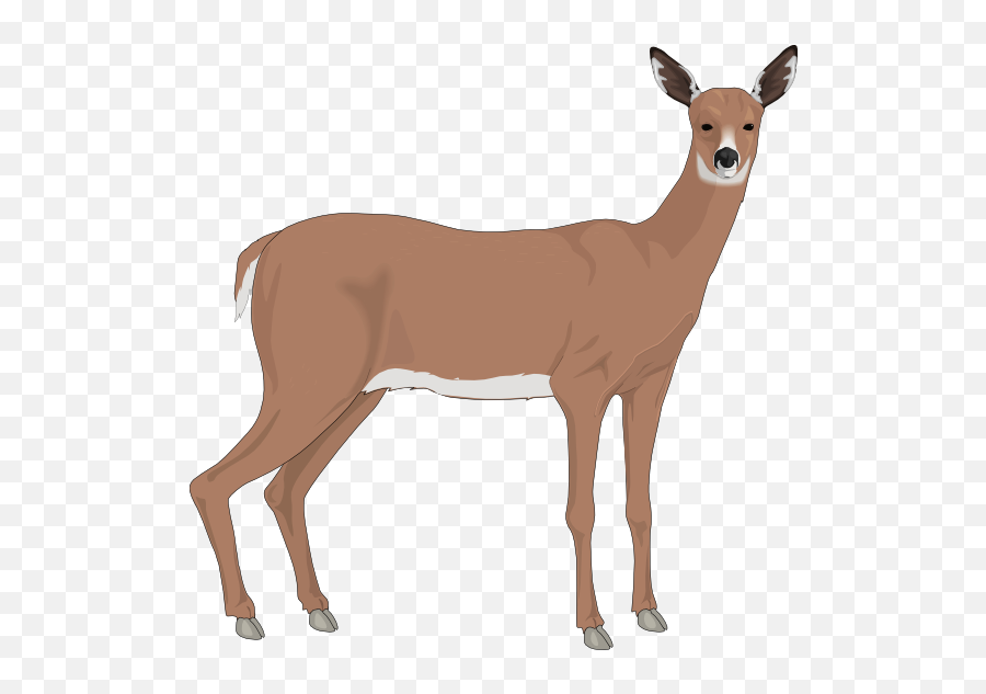 Deer Free To Use Clipart - Doe Clip Art Emoji,Whitetail Deer Emoji