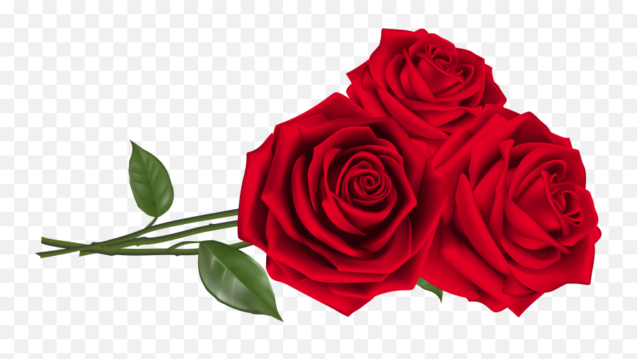 Valentine Roses - Red Rose Flower Png Emoji,Red Rose Emoticon