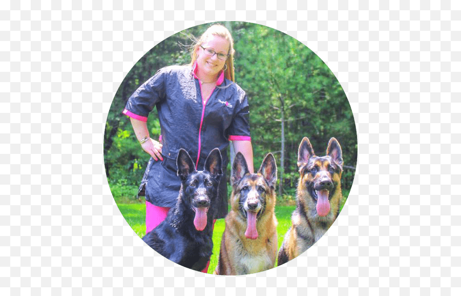 Pampered Paws Pet Salon Pet Grooming And Styling On Cape Cod - Collar Emoji,German Sheppherd Emotions Based On Ears