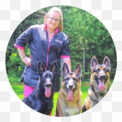 Pampered Paws Pet Salon Pet Grooming And Styling On Cape Cod - Collar Emoji,German Sheppherd Emotions Based On Ears