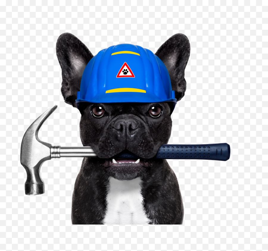 Dog With Paint Brush Transparent Png - Dog With Pipewrench In Mouth Emoji,Dog Emoji Png