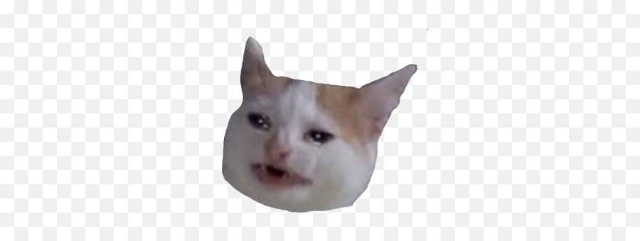 Cat Sad Cry Crying Sadcat Sticker By Cutecat3202 - Soft Emoji,Sad Cat Emoji