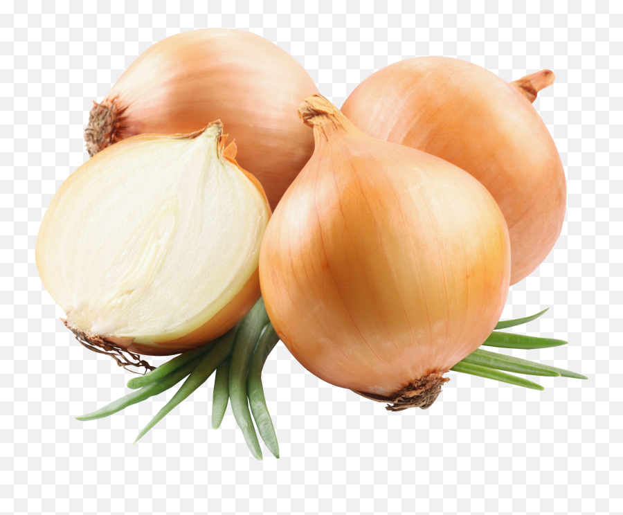 Garlic Clipart Shallot Garlic Shallot Transparent Free For - Onion Png Emoji,Garlic Bread Emoji
