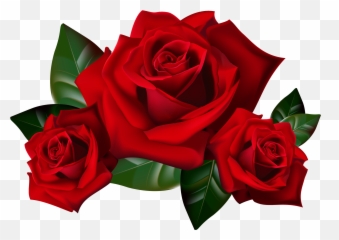 Free Red Flowers Transparent Download - Transparent Background Rose Clipart Emoji,Red Rose Emoji