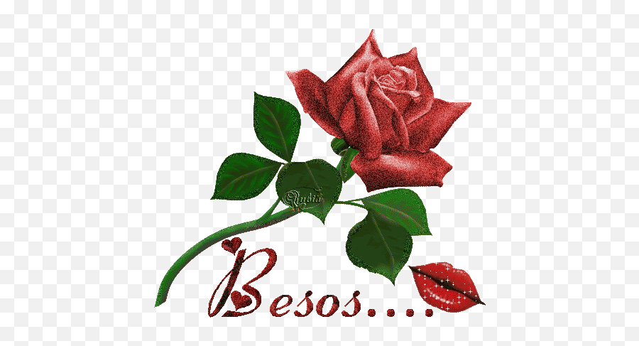 15 Imágenes De Besos En Movimiento - Transparent Background White Rose Clipart Emoji,Emoticon Tirando Un Beso