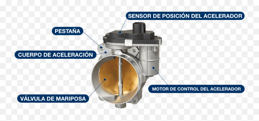 Cuerpo Del Acelerador Electrónico - Spectra Premium Partes Del Cuerpo De Aceleracion Electronico Emoji,Aveo Gti Emotion Consumo Gasolina