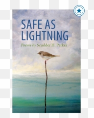 Safe As Lightning - Rootstock Publishing Emoji,Poem For Emotion