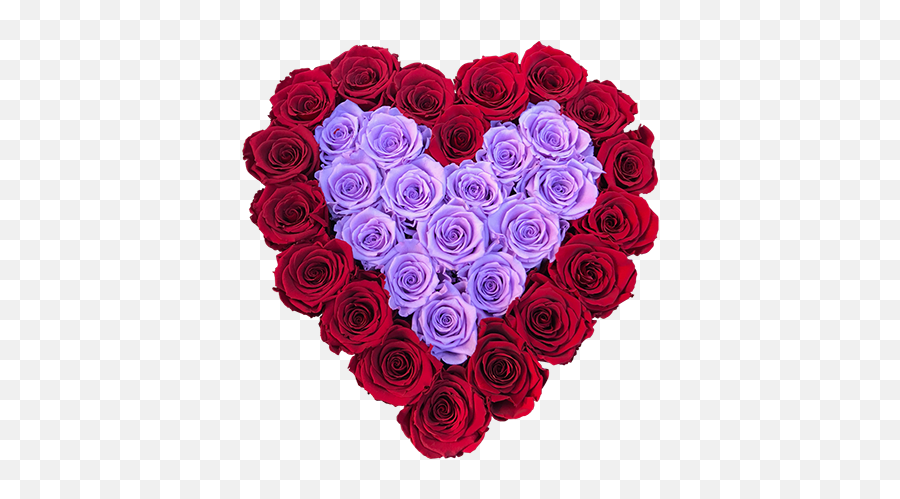 Luxury Preserved Roses That Last Years - Most Beautiful Red Roses Bouquet Royal Emoji,Happy Valentine's Day Family Con Emotion Para Facebook